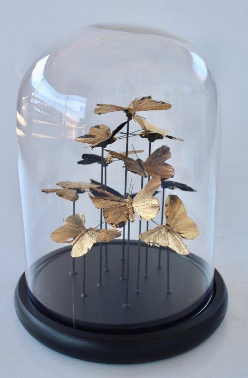 Medium Glass Dome Gold Butterflies